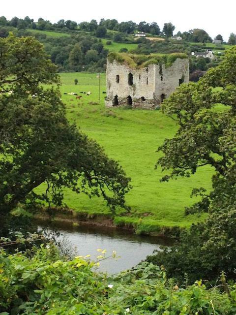 The Tower House B&B Thomastown  Exteriör bild